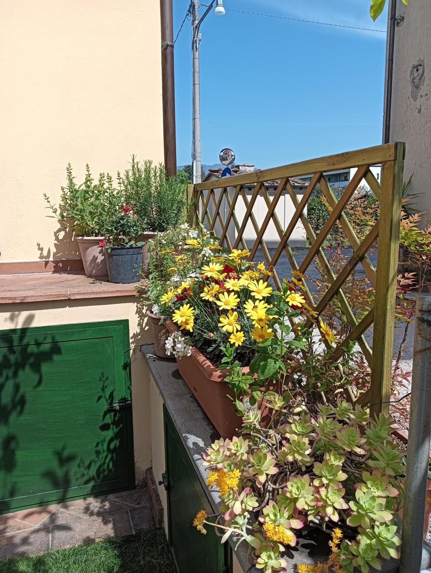 Casa Vacanze Rustico Di Corte Capannori Extérieur photo