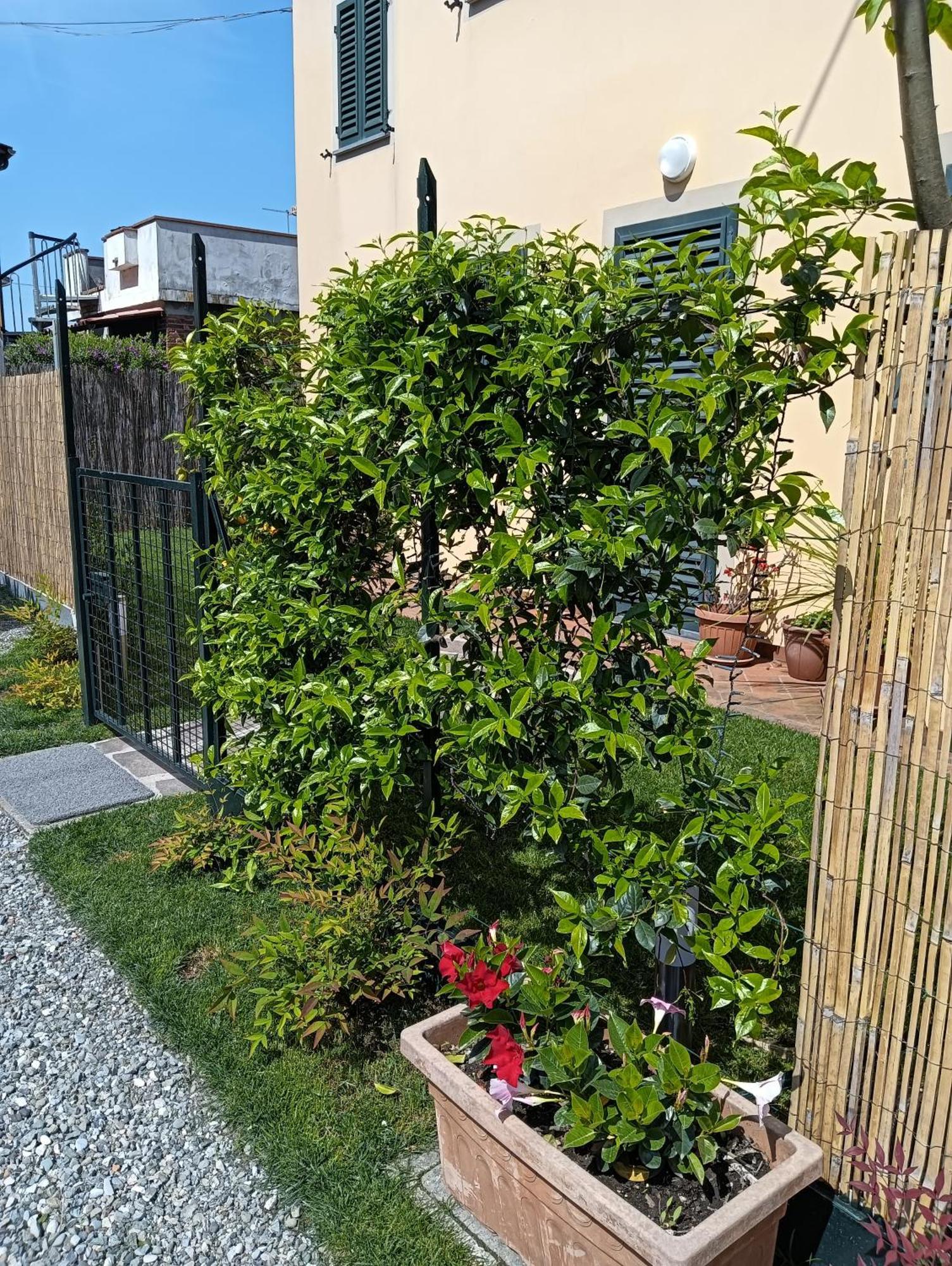 Casa Vacanze Rustico Di Corte Capannori Extérieur photo